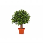 Kunstplant Buxus bol 25cm Ø25cm